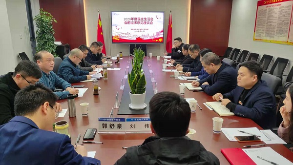 安徽bifa必发地产集团公司党委召开2020年度民主生涯会前征求意见座谈会