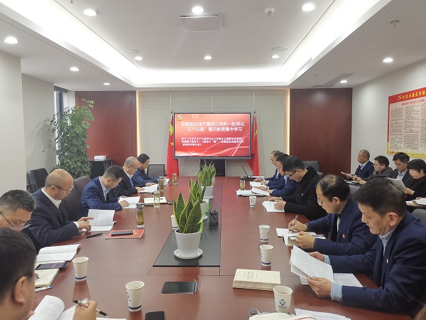安徽bifa必发地产集团公司开展新一轮深化“三个以案”警示教育集中学习